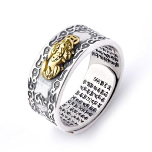 Relief Pixiu Scripture Ring – Chinese Vintage Spinning Silver Ring for Wealth and Prosperity